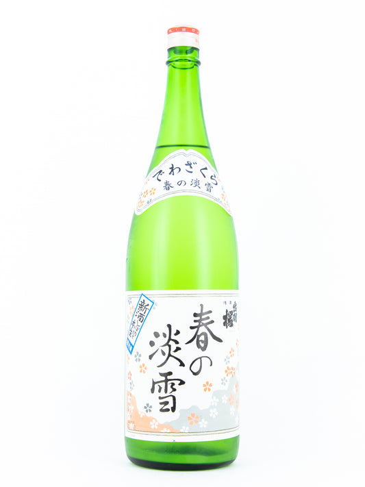 出羽桜 春の淡雪