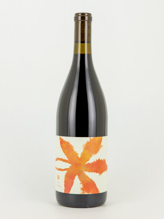 Six Cloves Primitivo (シックス・クローヴズ プリミティーヴォ)