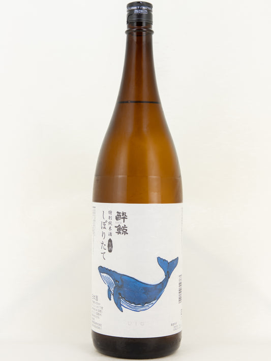 酔鯨 特別純米酒 しぼりたて生酒